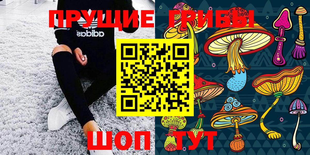 Галлюциногенные грибы Magic Shrooms  даркнет сайт  Кизляр  Вход с VPN  Галлюциногенные грибы Psilocybine cubensis 
